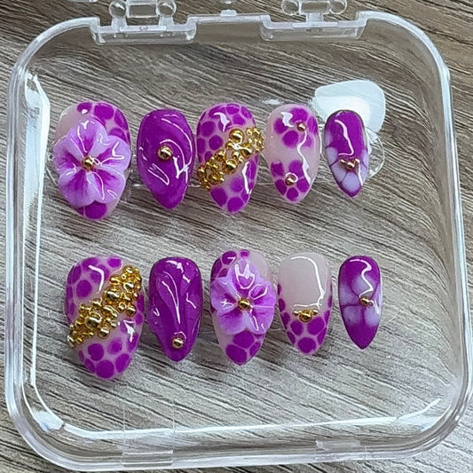 Fuchsia Blooms