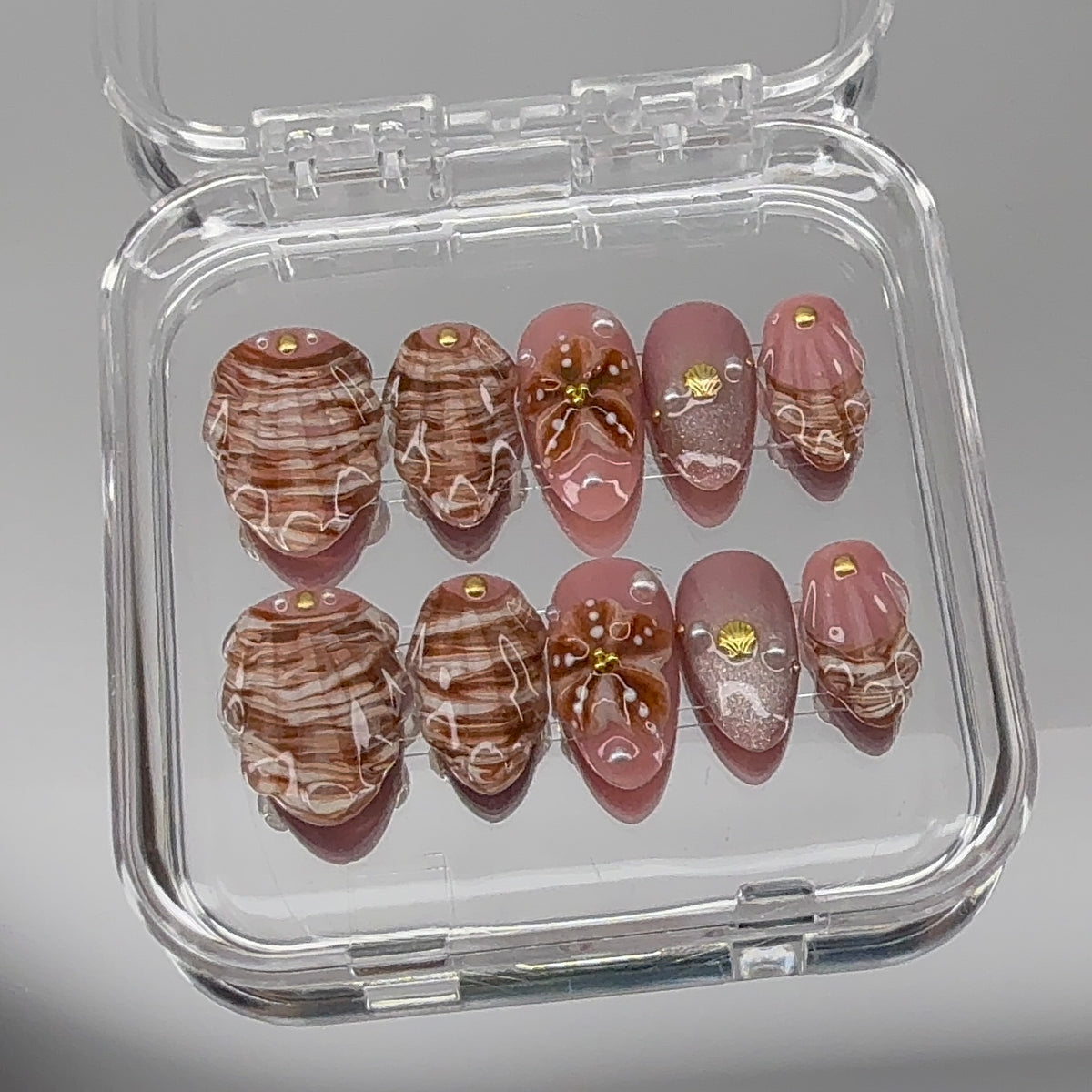 Coastal Shells