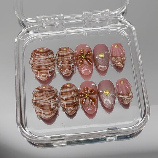 Coastal Shells