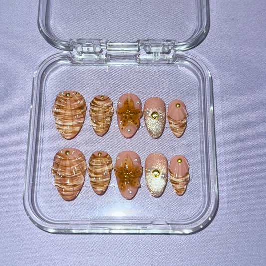 Coastal Shells