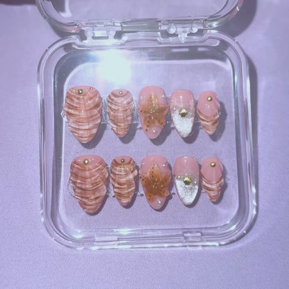 Coastal Shells