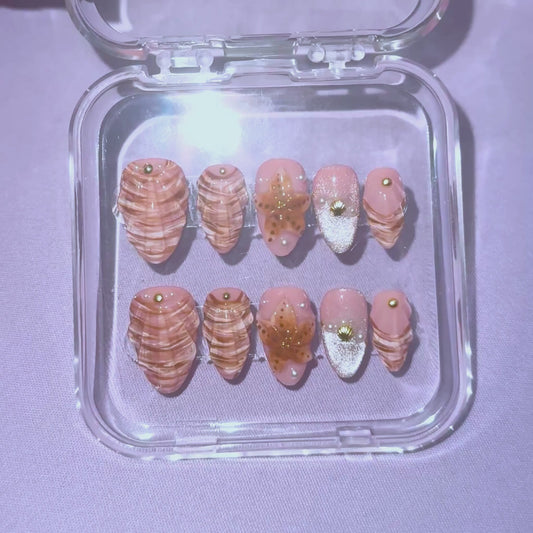 Coastal Shells